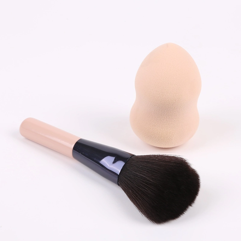 Facial Sponge Foundation Makeup Brush Makeup Tools Set